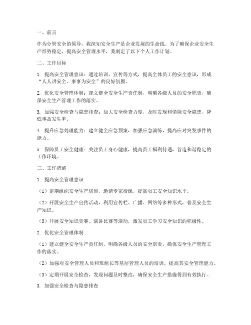 分管安全领导个人工作计划