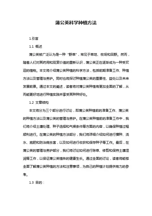 蒲公英科学种植方法