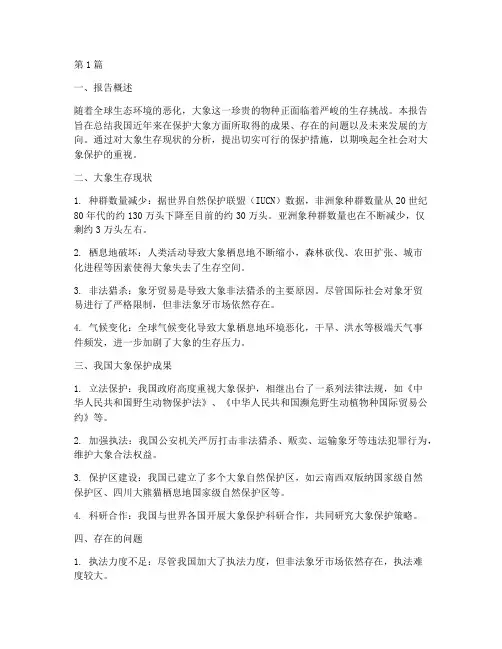 保护大象的总结报告范文(3篇)