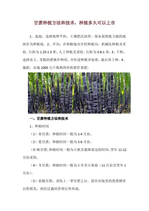 甘蔗种植方法和技术,种植多久可以上市