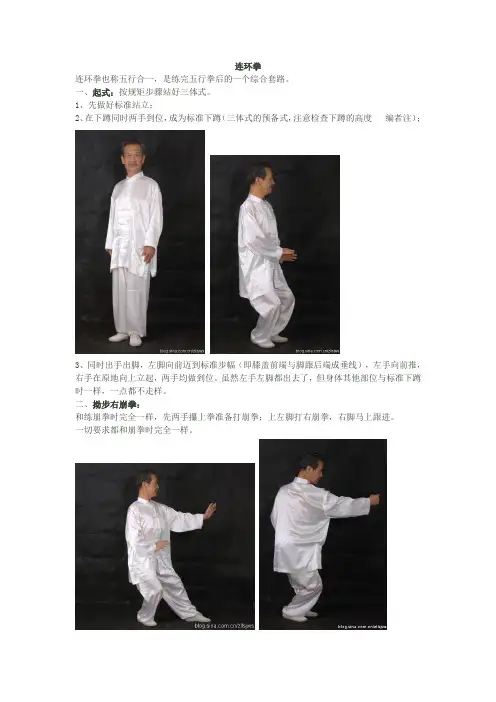 孙氏形意拳(连环拳)