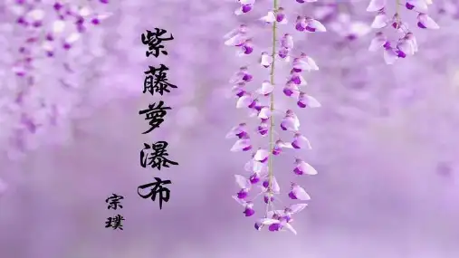 部编版七年级下册语文《紫藤萝瀑布》PPT优质教学电子课件
