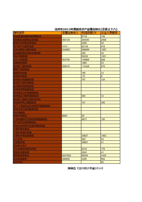 沧州市2013年高新技术产业情况统计(总表)(十八)