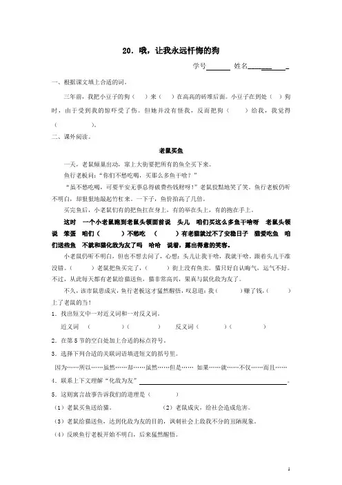 20哦,让我永远忏悔的狗