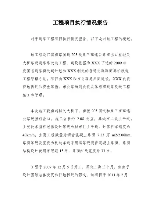 工程项目执行情况报告