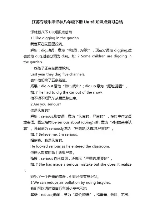 江苏专版牛津译林八年级下册Unit8知识点复习总结