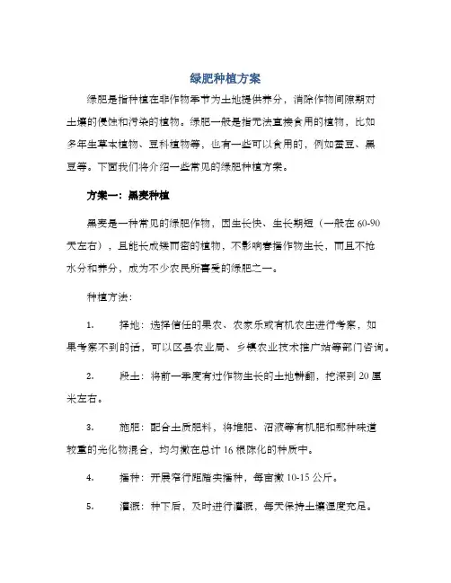 绿肥种植方案