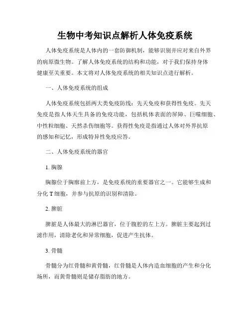 生物中考知识点解析人体免疫系统