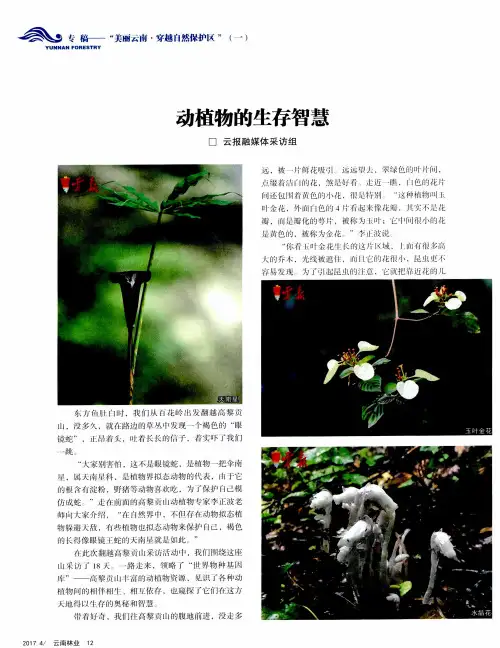 动植物的生存智慧