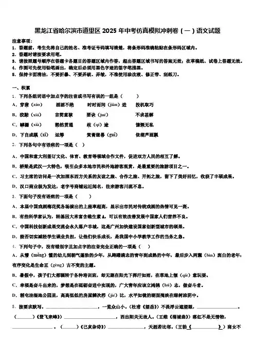 黑龙江省哈尔滨市道里区2025年中考仿真模拟冲刺卷(一)语文试题含解析