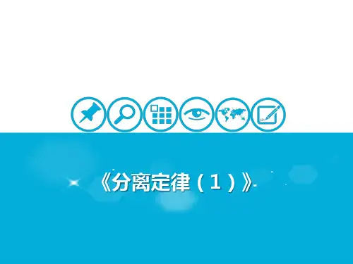 基因分离定律优质课件 高考一轮复习生物ppt