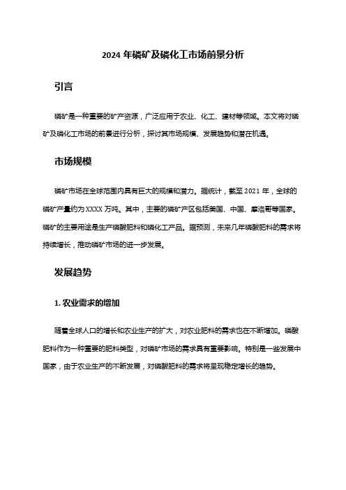 2024年磷矿及磷化工市场前景分析