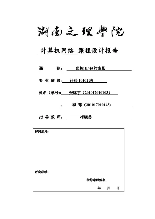 监控IP包的流量