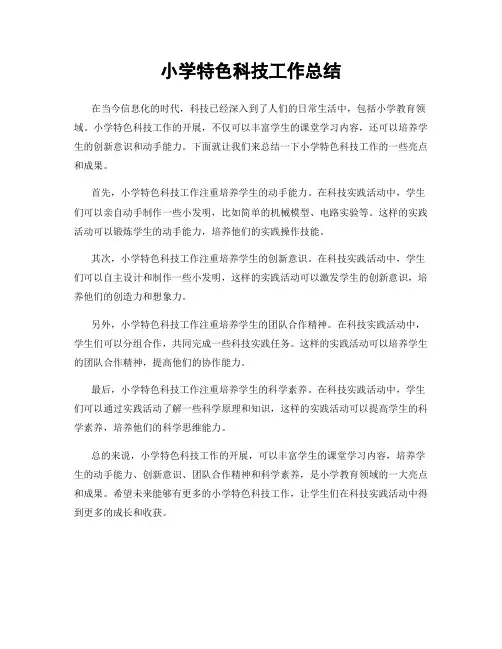 小学特色科技工作总结