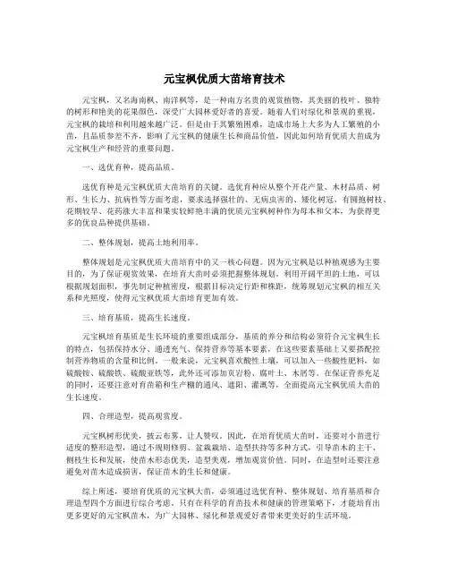 元宝枫优质大苗培育技术