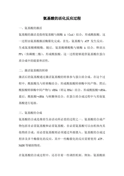 氨基酸的活化反应过程