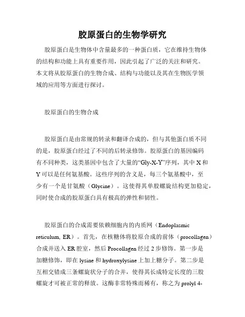 胶原蛋白的生物学研究