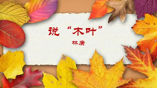 《说“木叶”》PPT教学课件