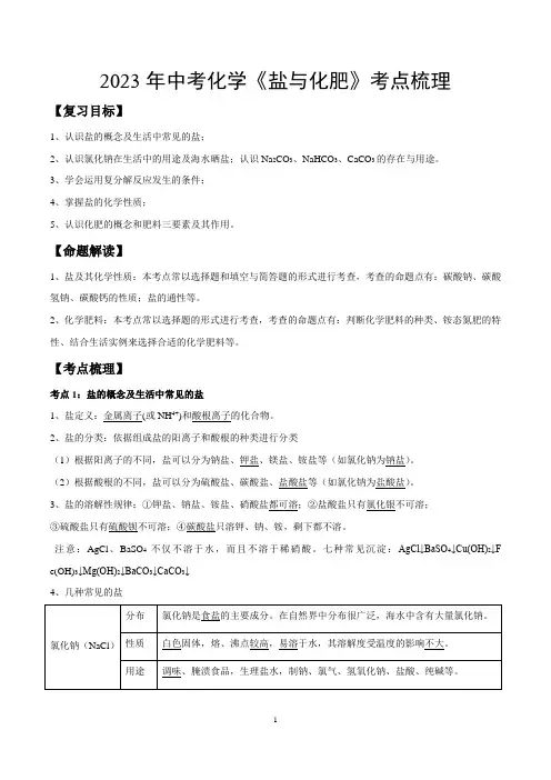 2023年中考化学《盐与化肥》考点梳理
