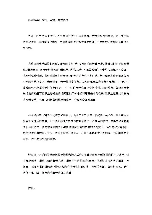 科学控光和控料,白羽肉鸡养得好