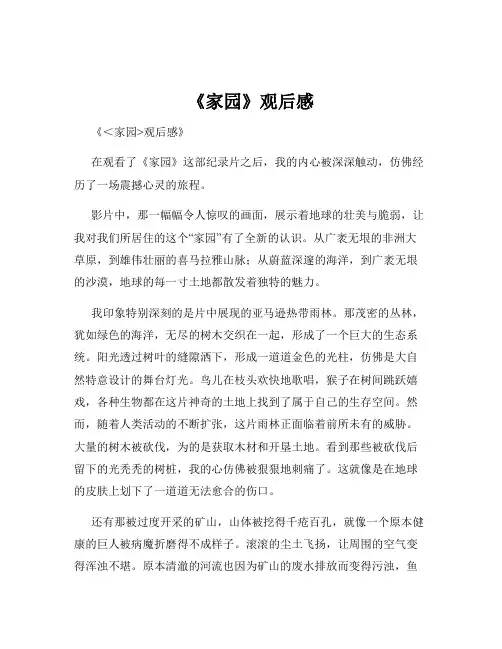 《家园》观后感
