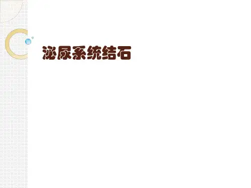 泌尿系统结石PPT课件
