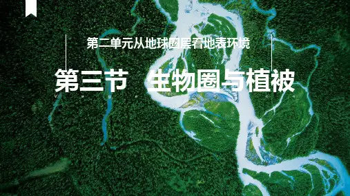 鲁教版必修一2.3生物圈与植被(共40张)