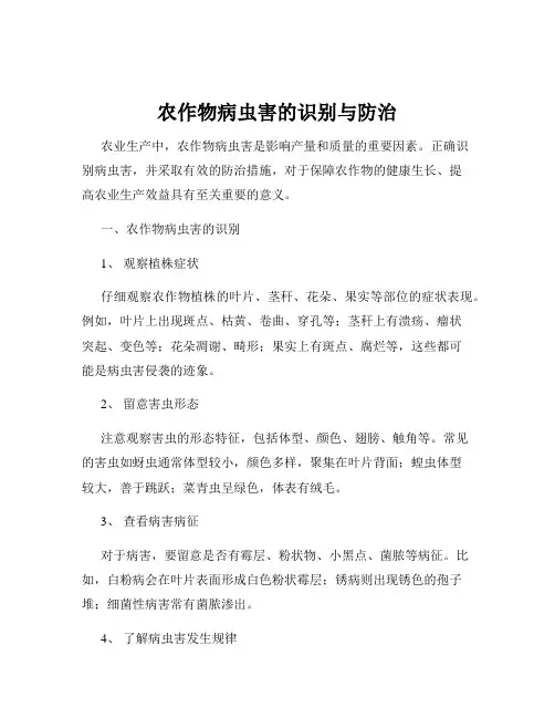 农作物病虫害的识别与防治