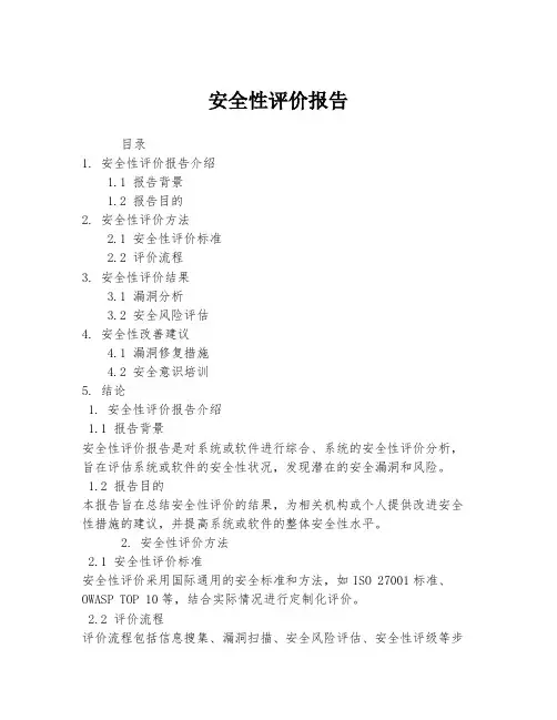 安全性评价报告