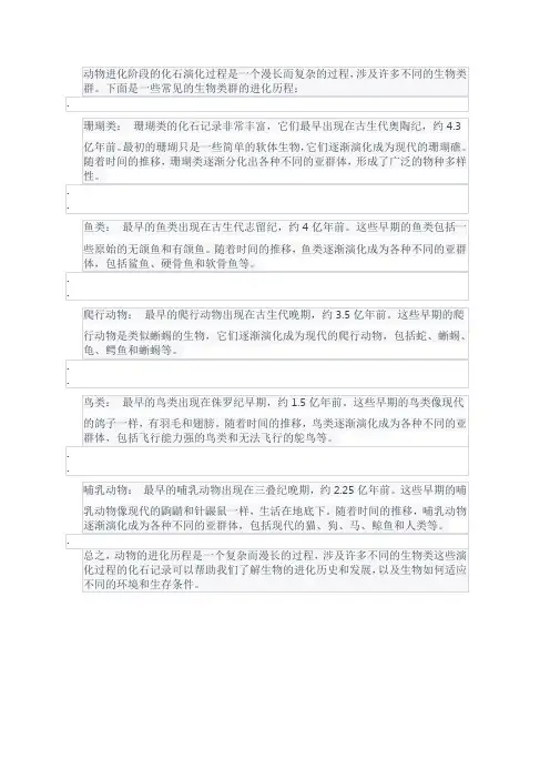 动物进化阶段的化石演化过程