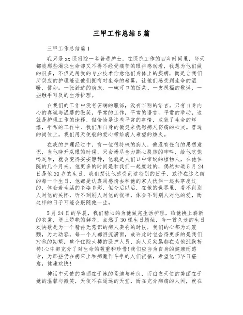 三甲工作总结5篇