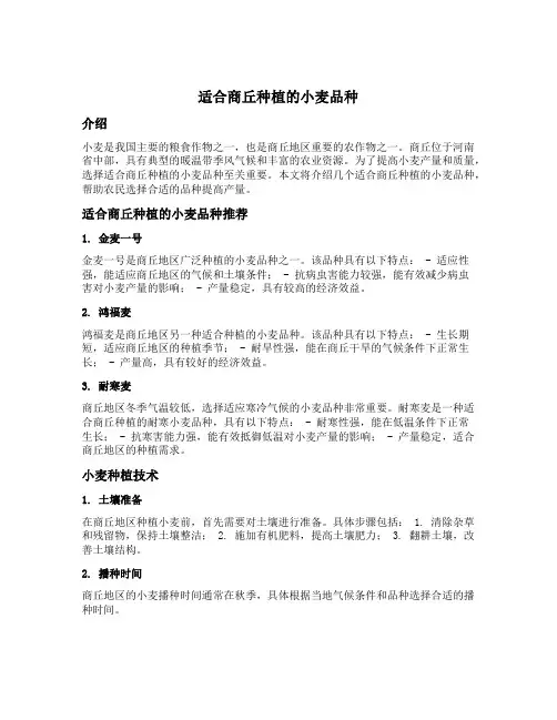 适合商丘种植的小麦品种