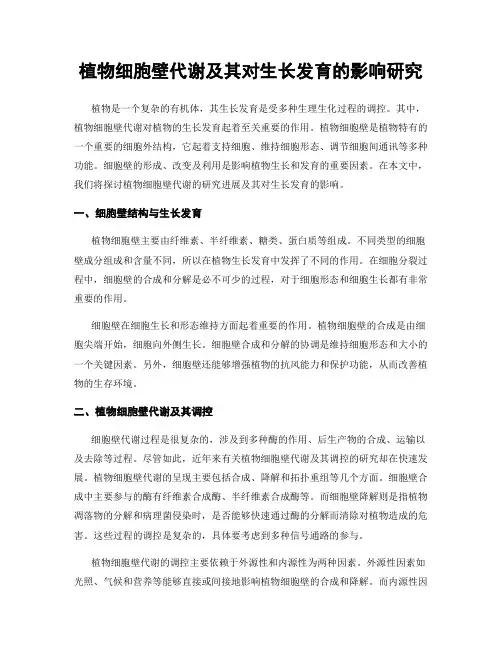 植物细胞壁代谢及其对生长发育的影响研究