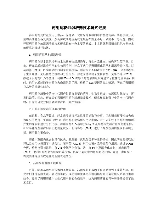 药用菊花组织培养技术研究进展