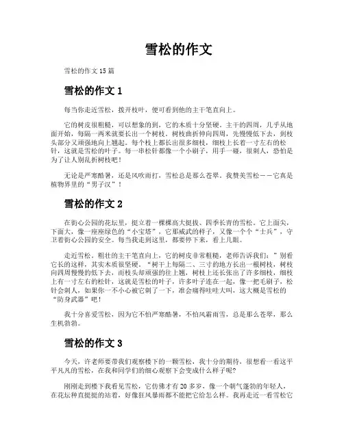 雪松的作文