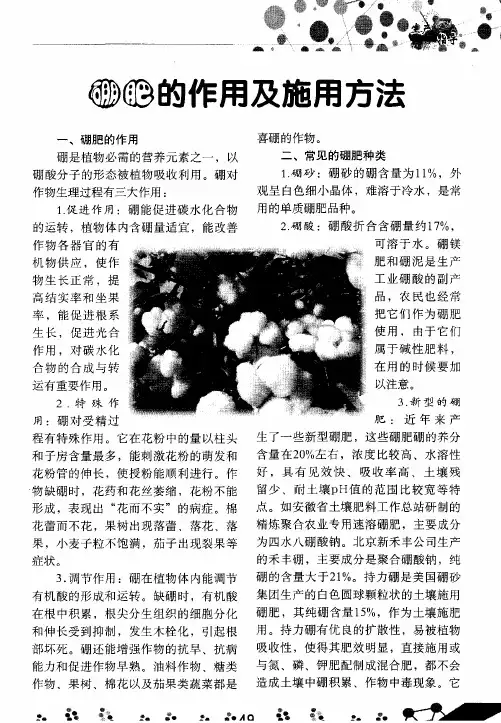 硼肥的作用及施用方法