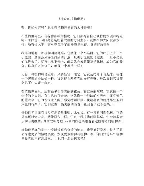 神奇的植物世界