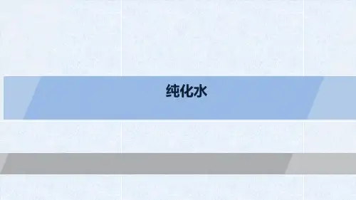 纯化水系统简介