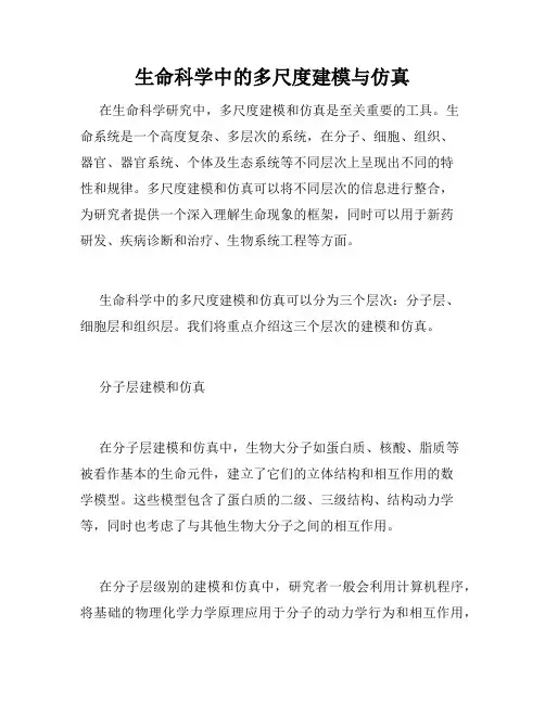 生命科学中的多尺度建模与仿真