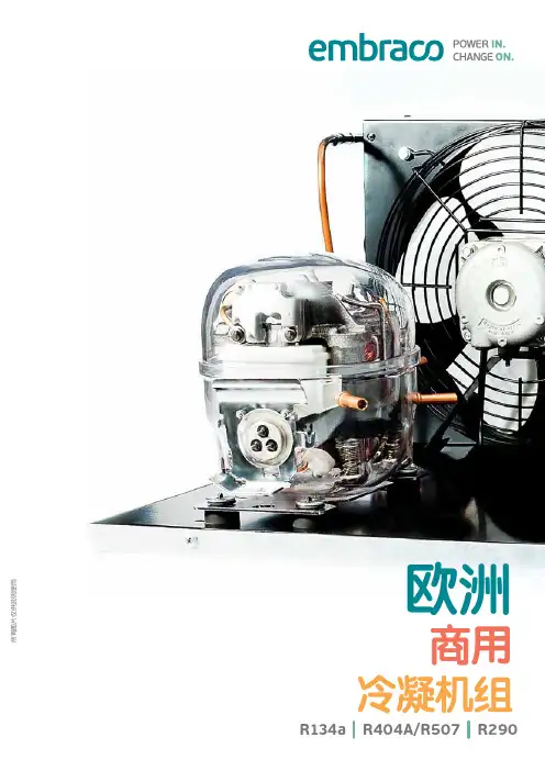 恩布拉科欧洲商用机