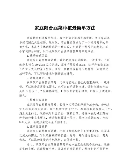 家庭阳台韭菜种植最简单方法