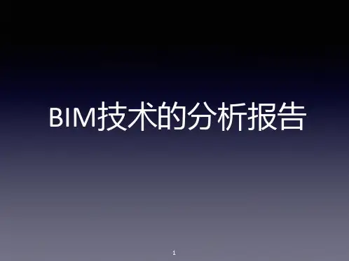 BIM分析报告总结