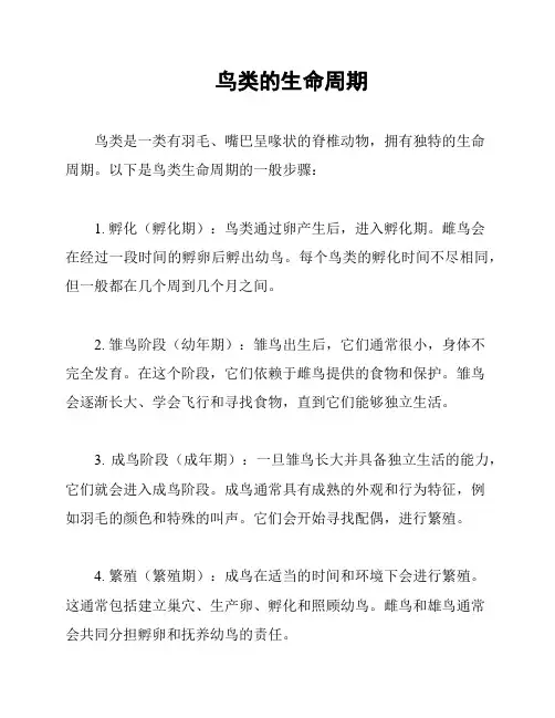 鸟类的生命周期