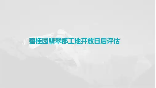 碧桂园地产某项目工地开放日活动案