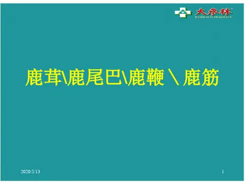4鹿茸、鹿尾巴、鹿鞭、鹿筋