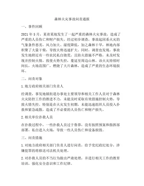 森林火灾事故问责通报
