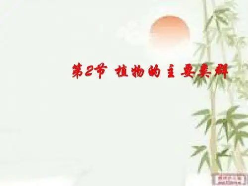 植物的主要类群