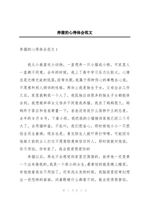 养猫的心得体会范文