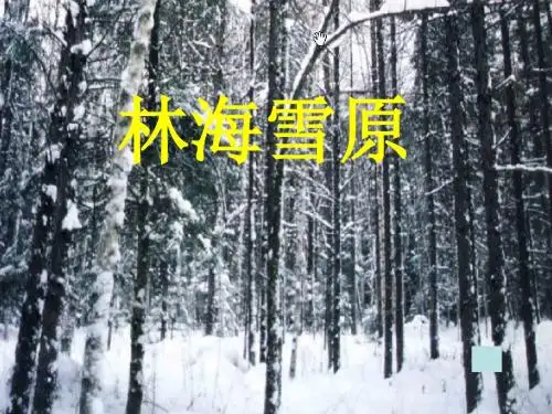山东人民版小学五年级品德与社会下册《林海雪原》课件 