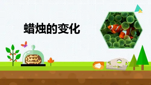 最新2021-2022青岛版科学六年级上册《蜡烛的变化》优质课件
